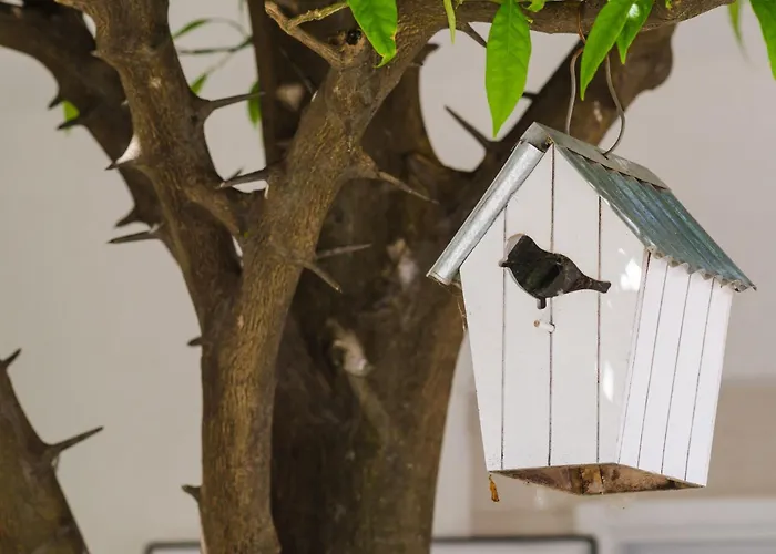 & Bari I - With Balcony And View Second Floor 14 Apartament *